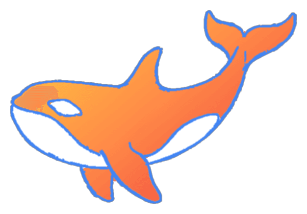 Orca